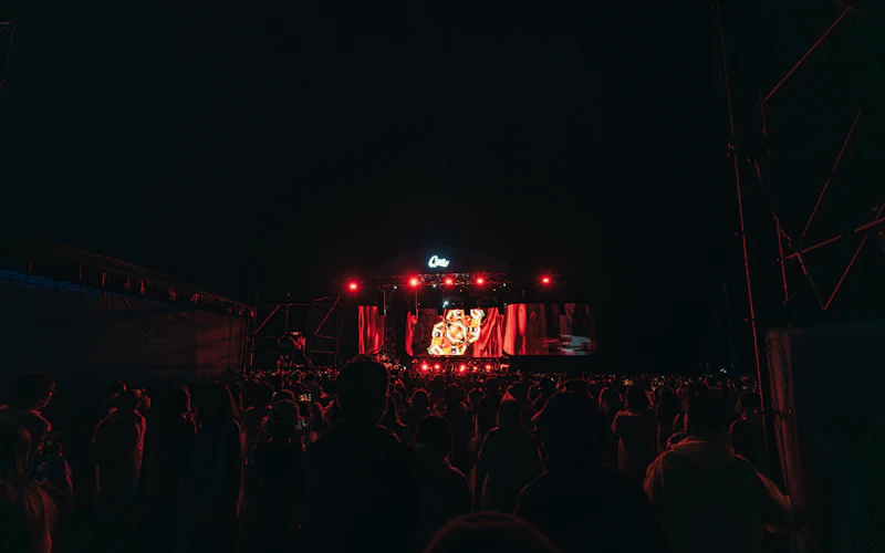 Concert crowd at night